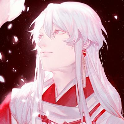 克宫：普京访华“主要安排均已敲定”